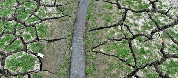 Иссохшая земля у водохранилища Лос-Лорелес в Тегусигальпе в апреле 2019 года - Sputnik Беларусь