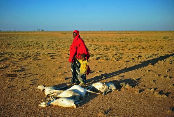 Женщина с ребенком проходят мимо стада мертвых коз в засушливой местности недалеко от Дахара в Пунтленде - Sputnik Беларусь