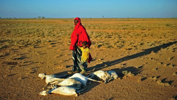 Женщина с ребенком проходят мимо стада мертвых коз в засушливой местности недалеко от Дахара в Пунтленде - Sputnik Беларусь