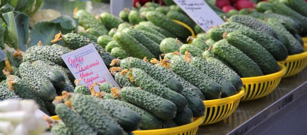 Брестские колючие огурцы из парников стоят на Комаровке в среднем 2 рубля  - Sputnik Беларусь