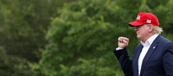 Президент США Дональд Трамп Президент США Дональд Трамп - Sputnik Беларусь