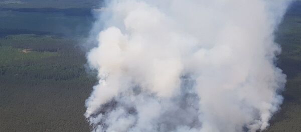 Ликвидация лесного пожара в Пуховичском районе Ликвидация лесного пожара в Пуховичском районе - Sputnik Беларусь