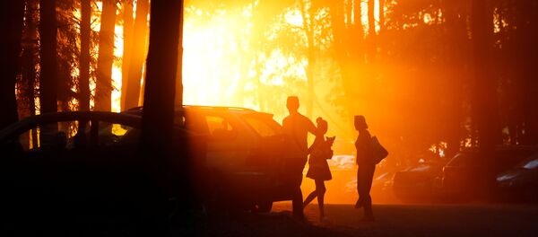 Аранжавы ўзровень небяспекі абвясцілі ў Беларусі на 11-12 чэрвеня Аранжавы ўзровень небяспекі абвясцілі ў Беларусі на 11-12 чэрвеня - Sputnik Беларусь