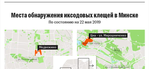 Схема распространения клещей в Минске: июнь–2019 | Инфографика sputnik.by - Sputnik Беларусь