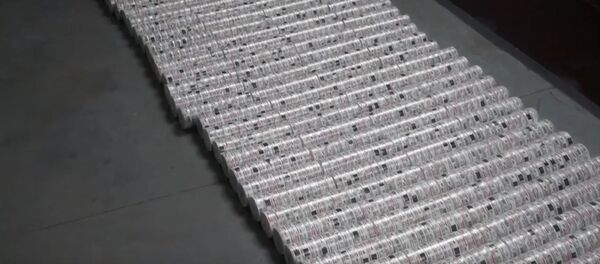 Таможенники изъяли у белоруса две тысячи банок жевательного табака, видео - Sputnik Беларусь