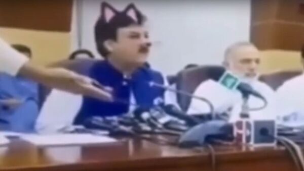 Конфуз на брифинге: министр в Пакистане во время трансляции стал котом - Sputnik Беларусь
