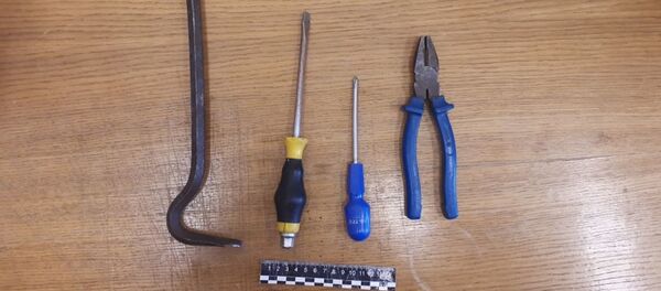 Предметы, при помощи которых вор проникал в дачные дома - Sputnik Беларусь