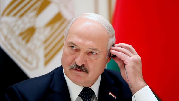 Президент Беларуси Александр Лукашенко на встрече с египетским коллегой - Sputnik Беларусь