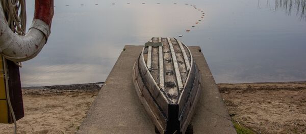 Ни браконьеры, ни ежегодный отлов угря не несут той угрозы сохранению вида, какую несет нерешенная проблема с зарыблением белорусских озер - Sputnik Беларусь