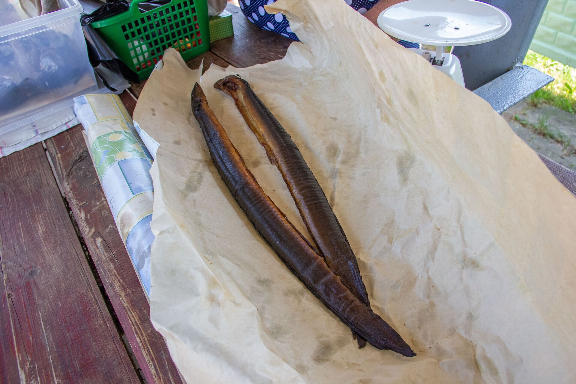 Копченый угорь - это и вправду очень вкусно. Но и очень дорого. За килограмм сейчас просят 80 рублей. - Sputnik Беларусь, 1920, 26.03.2026