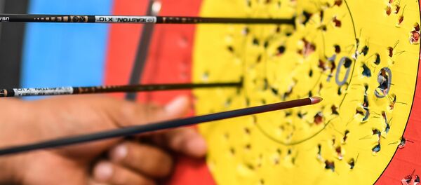Стрелы в мишени, архивное фото - Sputnik Беларусь