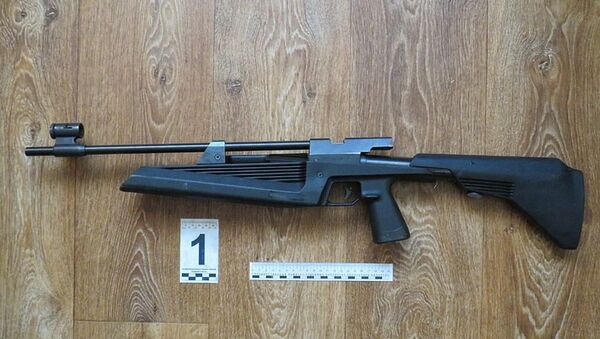 Пневматическая винтовка. из которой трехлетняя девочка ранила мальчика - Sputnik Беларусь