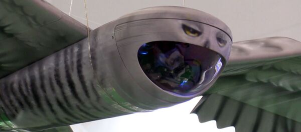 Дрон-сова - Sputnik Беларусь