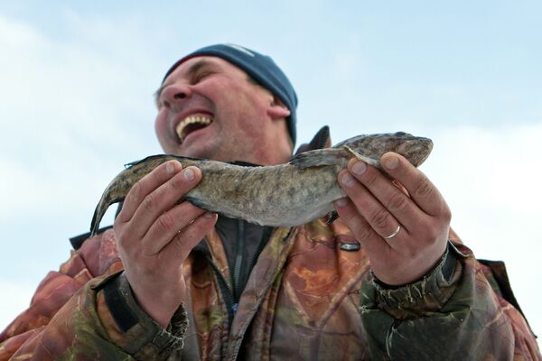 Участник рыболовного фестиваля Чкаловская рыбалка, который проходит в акватории реки Санохты в Чкаловске. - Sputnik Беларусь