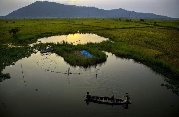 Индийские рыбаки ловят рыбу на деревенской лодке возле рисового поля на окраине Гаухати. - Sputnik Беларусь