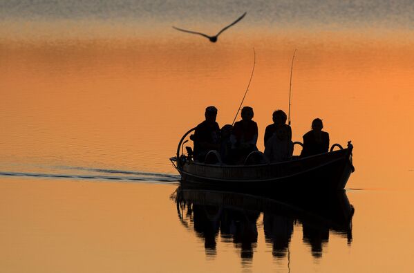 Что может быть прекраснее рыбалки на закате? - Sputnik Беларусь