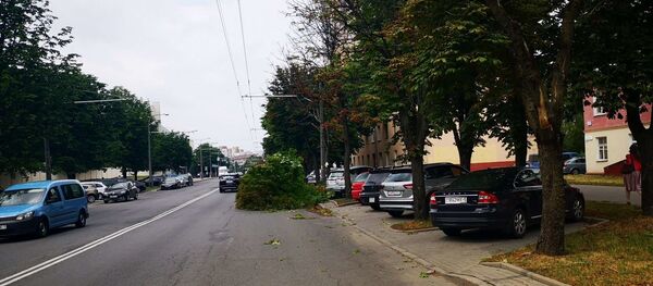 Упавшее дерево заблокировало полосу движения на улице Веры Хоружей Упавшее дерево заблокировало полосу движения на улице Веры Хоружей - Sputnik Беларусь