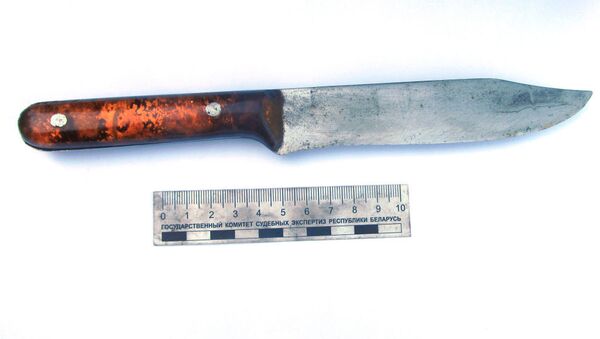 Орудие преступления - кухонный нож - Sputnik Беларусь