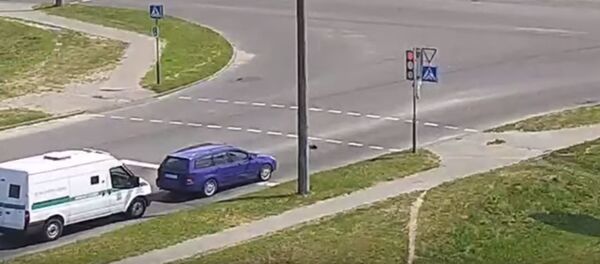 Утка с утятами перешла улицу в Кобрине, соблюдая ПДД - Sputnik Беларусь