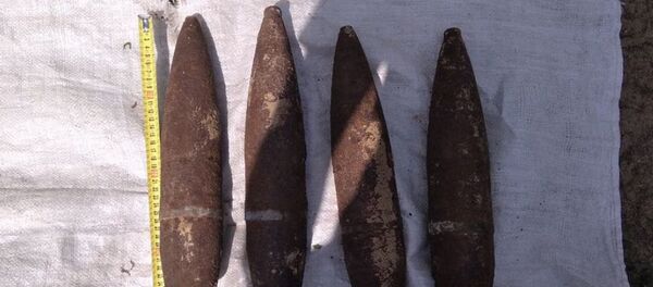 Найденные у мужчины снаряды Найденные у мужчины снаряды - Sputnik Беларусь