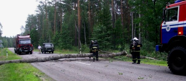 Последствия ветра в Беларуси 1 июля - Sputnik Беларусь
