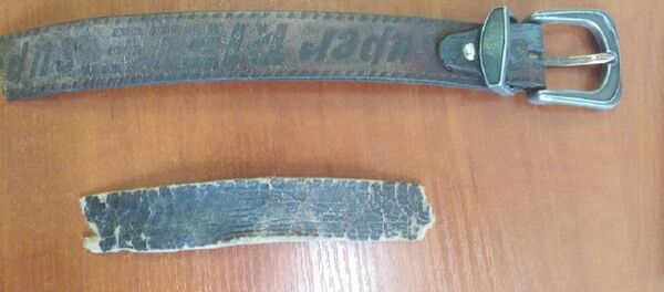 Ремень, которым супруги били детей Ремень, которым супруги били детей - Sputnik Беларусь