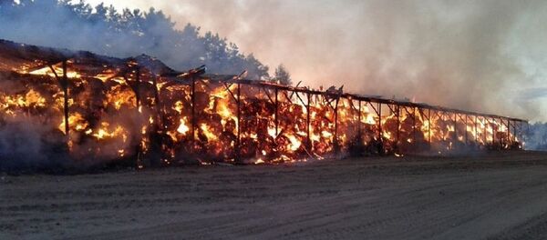 Пожар на складе сена в Рогачевском районе - Sputnik Беларусь
