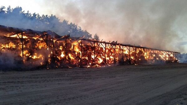 Пожар на складе сена в Рогачевском районе - Sputnik Беларусь