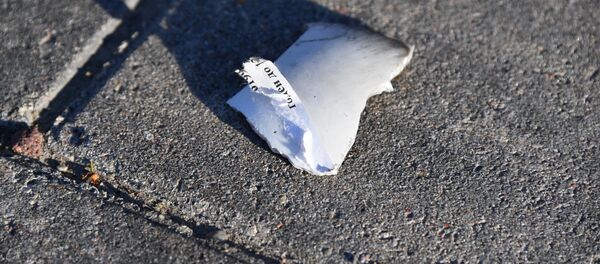 Осколки пиротехнического изделия - Sputnik Беларусь