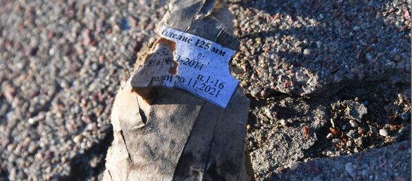 Осколки пиротехнического изделия Осколки пиротехнического изделия - Sputnik Беларусь