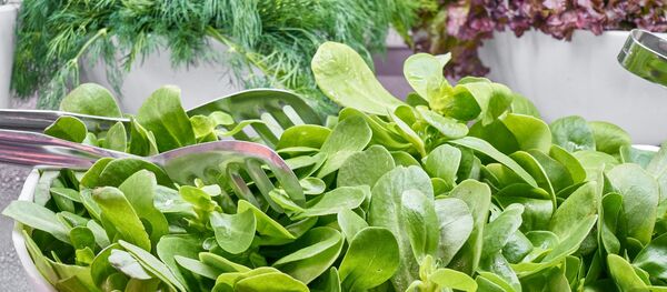 Шпинат, архивное фото - Sputnik Беларусь