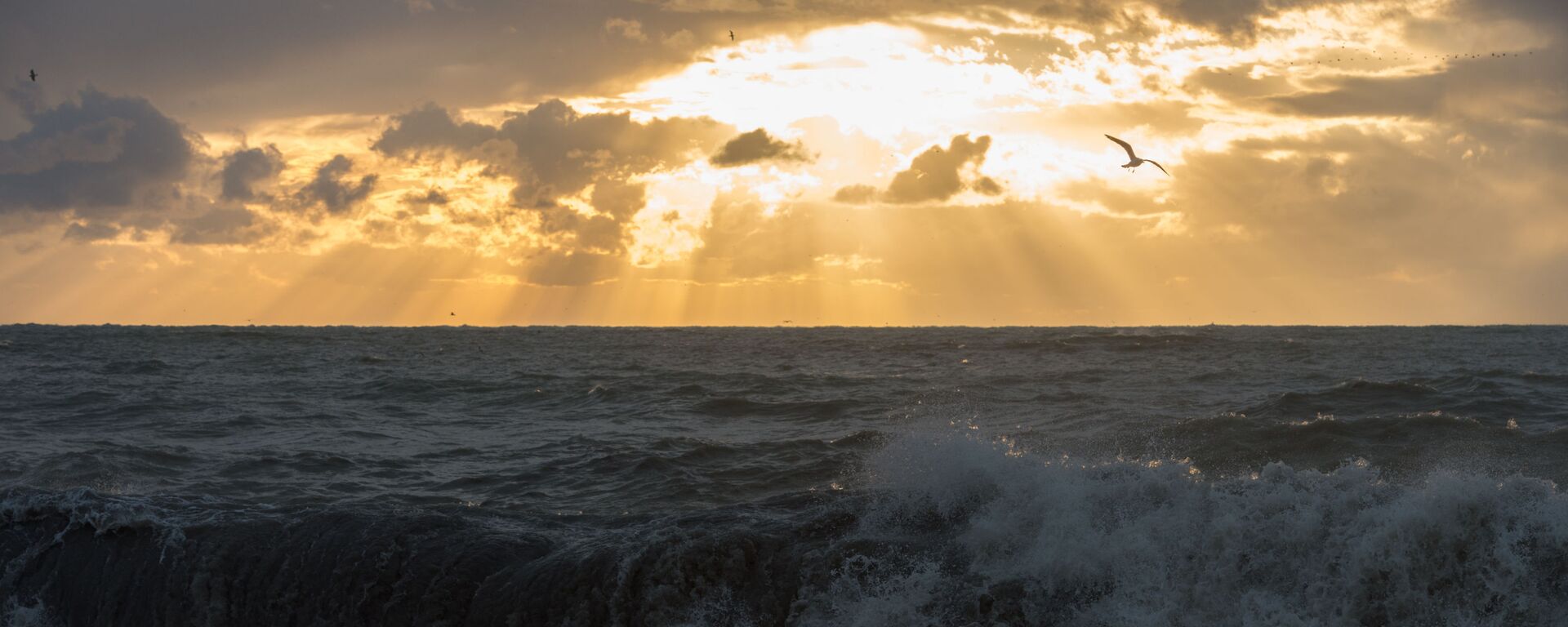 Мора, архіўнае фота - Sputnik Беларусь, 1920, 08.01.2026
