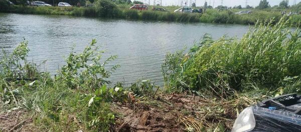 Место ДТП - Sputnik Беларусь