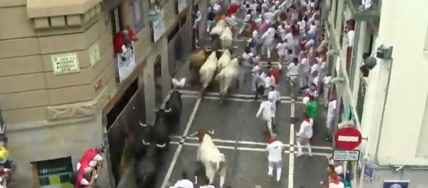 Праздник Сан-Фермин начался в Памплоне  - Sputnik Беларусь