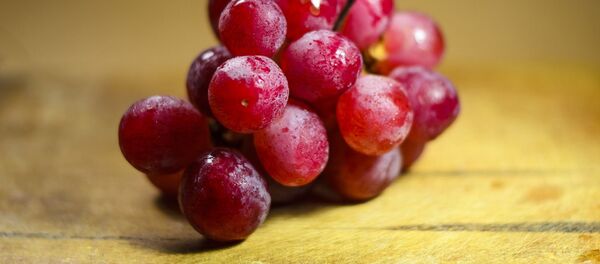 Гроздь винограда, архивное фото - Sputnik Беларусь