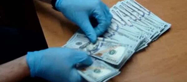 Украинец пытался без декларации вывезти из Беларуси более $100 тыс., видео - Sputnik Беларусь