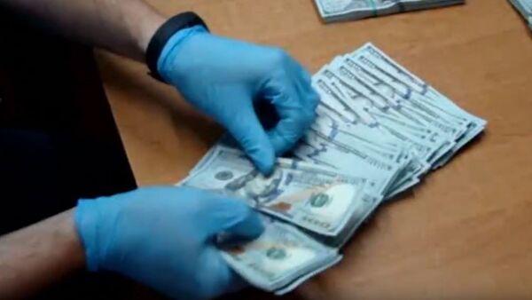 Украинец пытался без декларации вывезти из Беларуси более $100 тыс., видео - Sputnik Беларусь