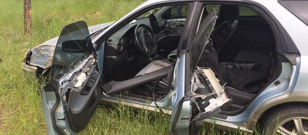 Разбитый медведем автомобиль - Sputnik Беларусь