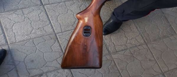 Сотрудники Департамента охраны задержали хулигана с макетом автомата  - Sputnik Беларусь