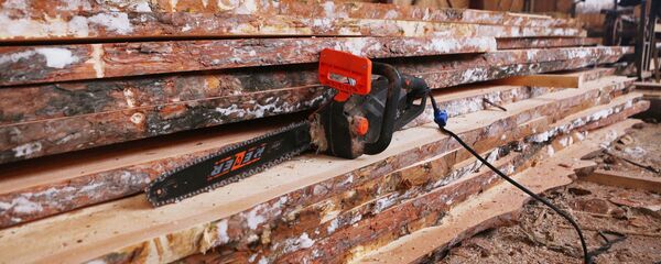 Продукты деревообработки стоят дороже леса-кругляка. И чем глубже переработка, тем больше профит - Sputnik Беларусь