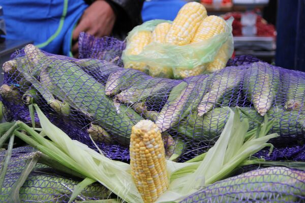 Черешня и черника – по 4,5 рубля! Обзор цен на Комаровке - Sputnik Беларусь