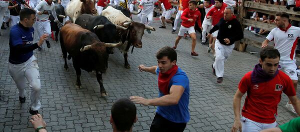 Забег быков в Памплоне - Sputnik Беларусь