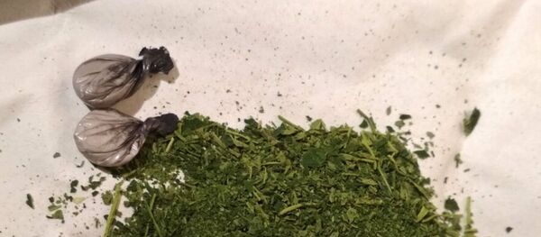 В Калинковичах задержали наркодилера, изъят амфетамин и марихуана В Калинковичах задержали наркодилера, изъят амфетамин и марихуана - Sputnik Беларусь