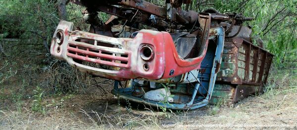 Машина, обнаруженная в Чернобыльской зоне - Sputnik Беларусь