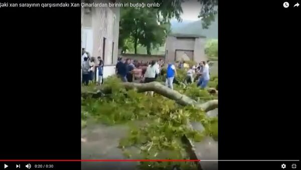 Ветка древнего дерева у дворца хана ранила 19 человек - видео - Sputnik Беларусь