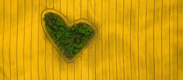 Снимок Island of Love фотографа Jeremiasz Gądek, занявший первое место в категории Nature конкурса Drone Awards 2019 - Sputnik Беларусь