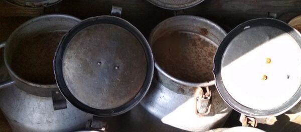 Милиция обнаружила в Лепельском районе мини-завод по изготовлению самогона - Sputnik Беларусь