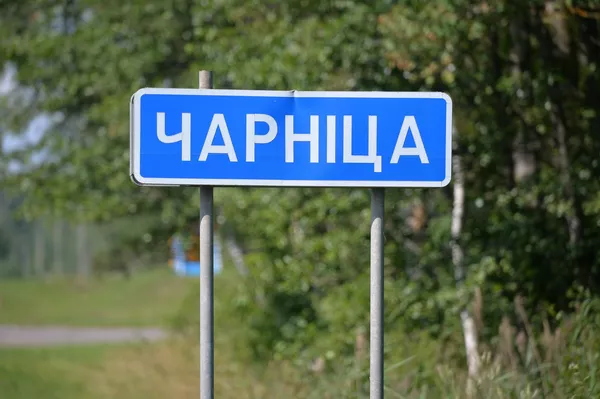 Дробненькае черное золото: как черника строить и жить помогает Дробненькае черное золото: как черника строить и жить помогает - Sputnik Беларусь