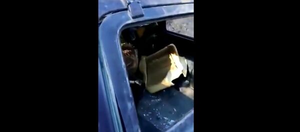 Медведь отомстил марийским охотникам Медведь отомстил марийским охотникам - Sputnik Беларусь