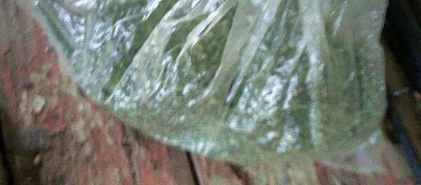 Пакет марихуаны нашли в рюкзаке неработающего гомельчанина Пакет марихуаны нашли в рюкзаке неработающего гомельчанина - Sputnik Беларусь